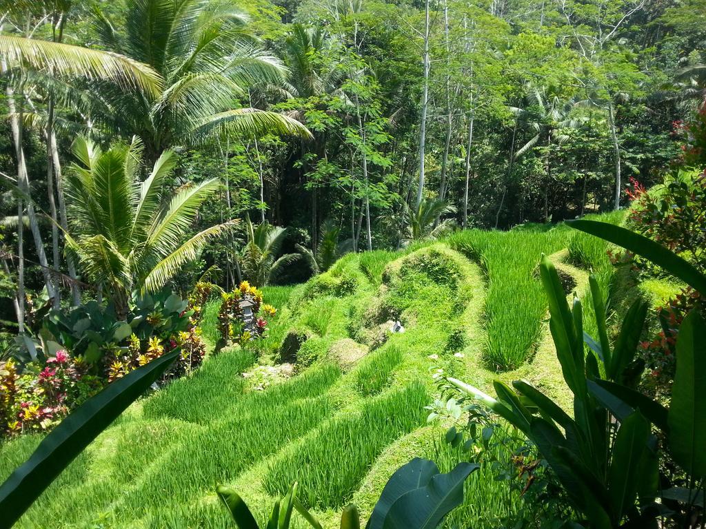 Villa Amrita Ubud  Exterior photo